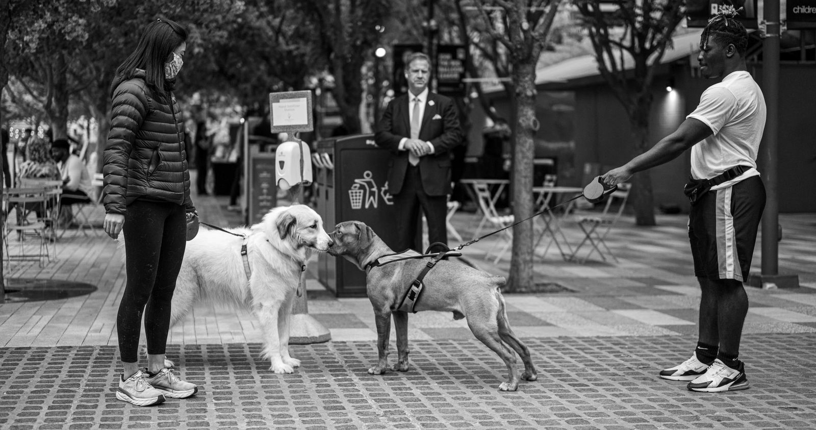 Two dogs on leashes interacting with owners on a city street.