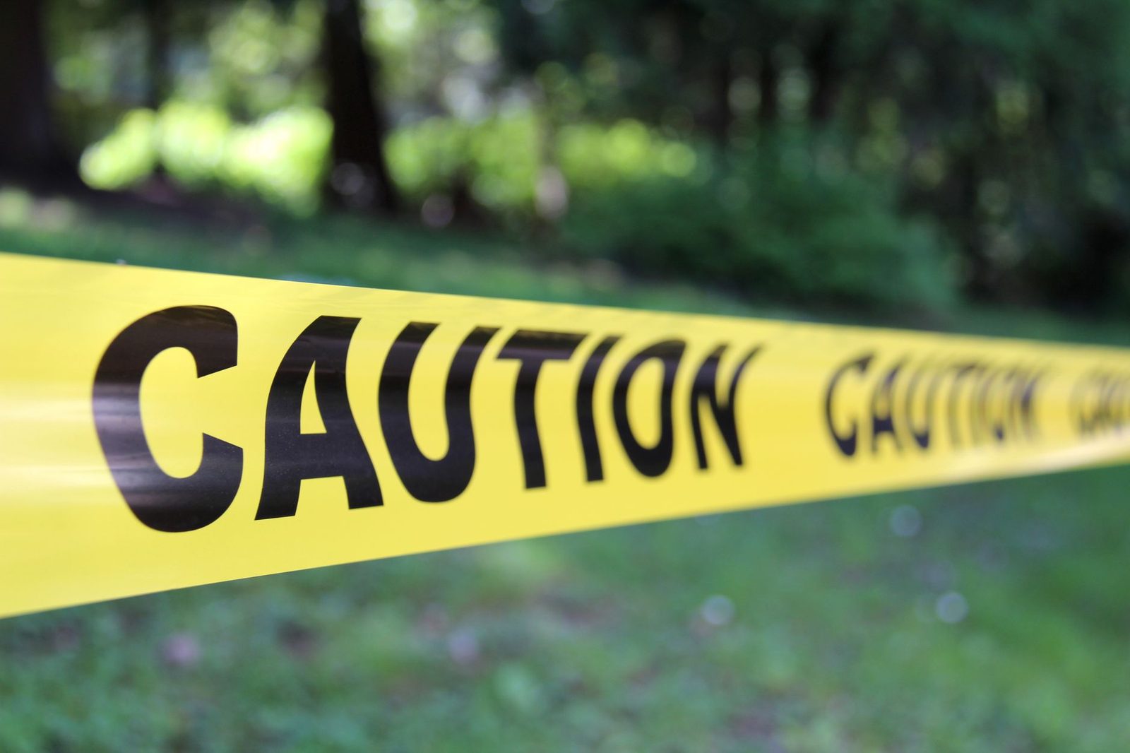 Yellow caution tape stretched across trees in a forest, symbolizing danger and restriction.