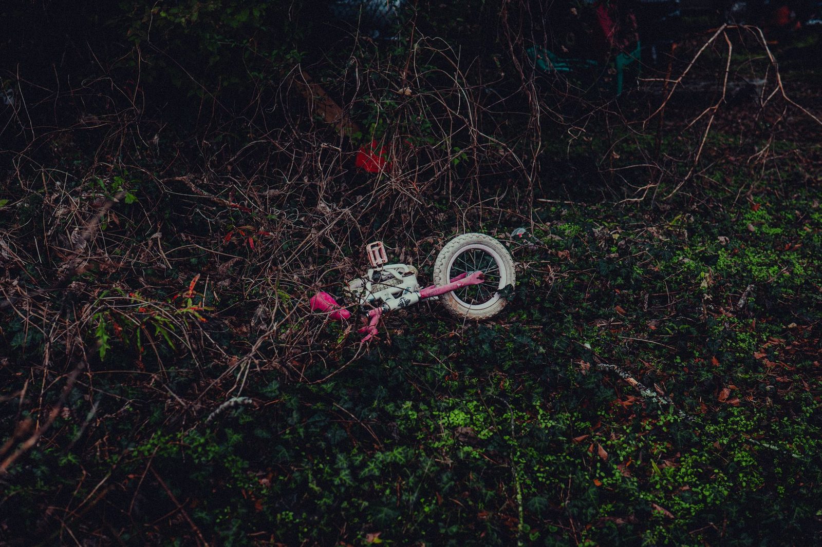 Bicicleta infantil abandonada en área cubierta de maleza y vegetación densa.