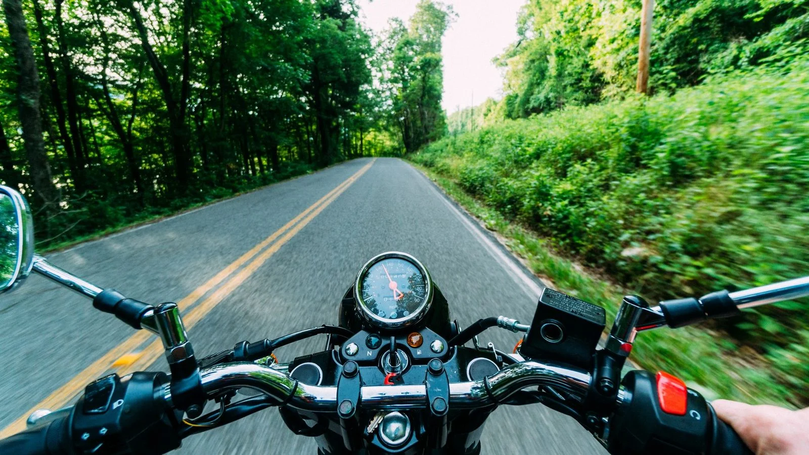 Motociclista conduciendo en carretera forestal con árboles a ambos lados.